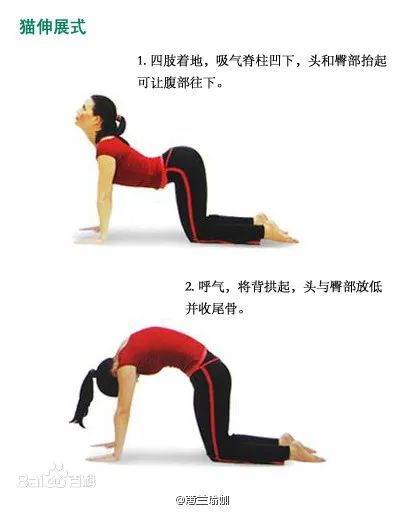 健康 | 速看！你工作的姿勢竟讓腰椎受力200公斤