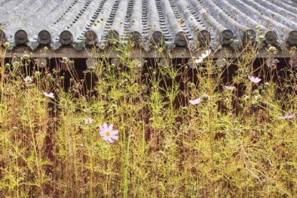 隨筆：抱山右走