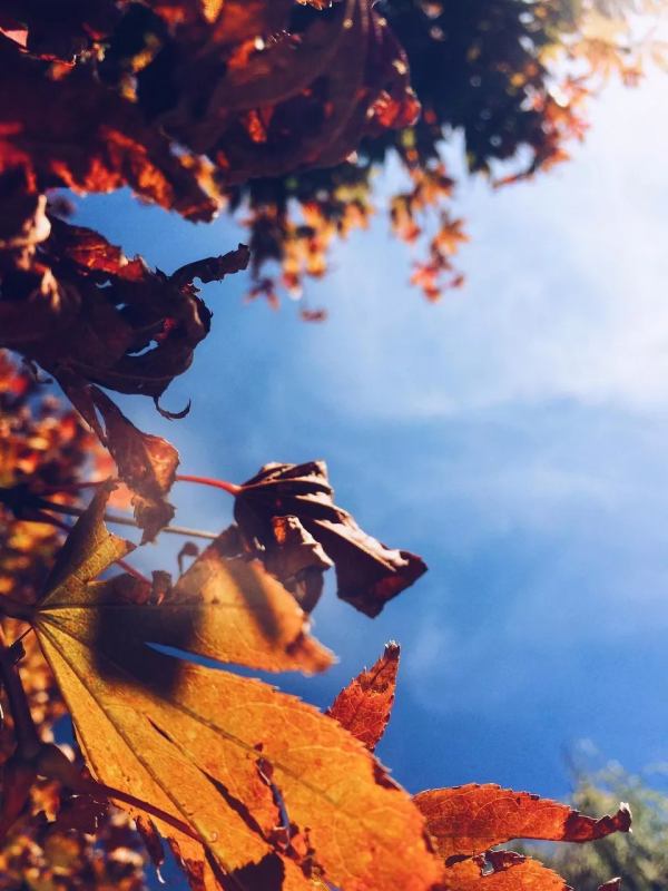 年底來一趟雲南:感受一半在天堂,一半在人間 年底來一趟雲南:感受一半在天堂,一半在人間