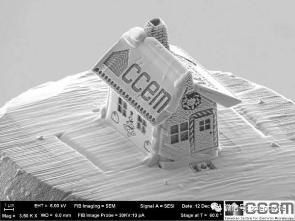 世界上最小的房子有多小？可以在頭髮上放10棟