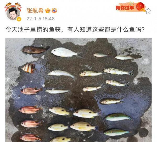 《嚮往的生活6》錄製地點疑似已選好，蘑菇屋將設在某美麗漁村