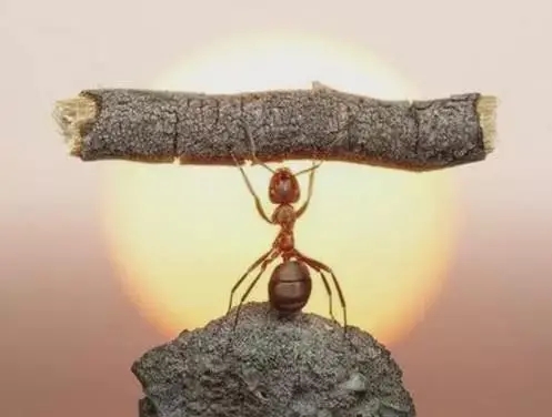 細思極恐！靜可通神、聚精會神的“神”，究竟指的是什麼？