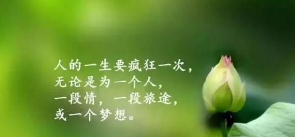 生活需要友善的謊言 生活需要友善的謊言