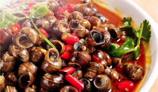十大最美味的可食用螺