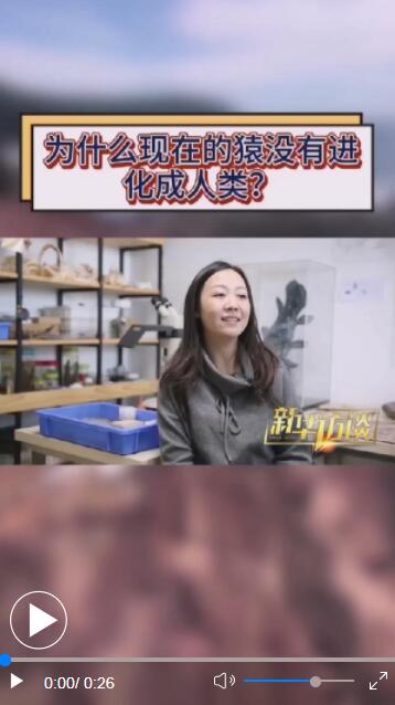 為什麼現在的猿沒有進化成人類 為什麼現在的猿沒有進化成人類