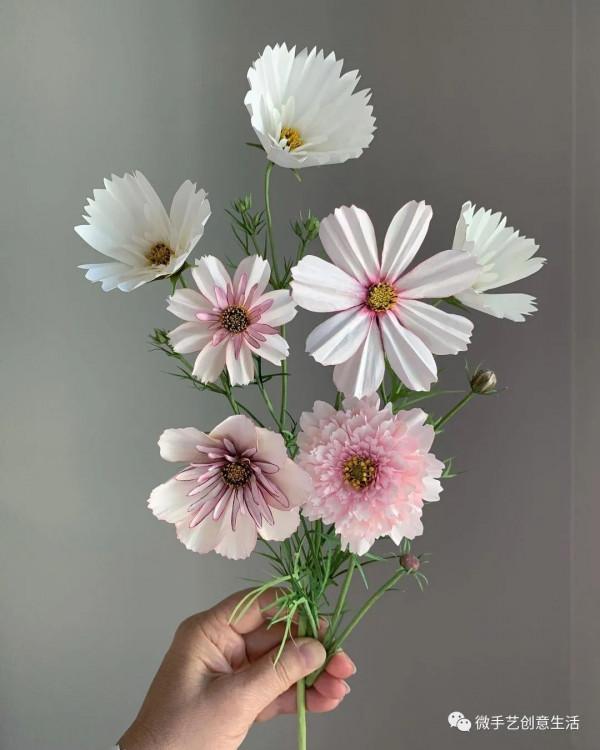 美國姑娘用紙還原了整個植物世界，逼真的讓人傻傻分不清