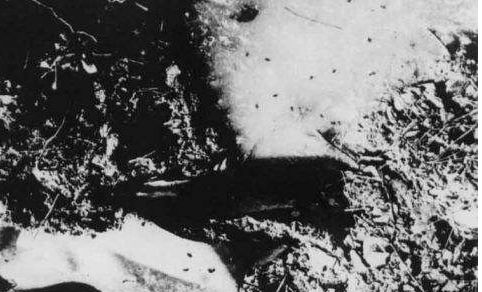 美國朝鮮戰場投毒，我國爆發大面積瘟疫，新中國上下一心粉碎奸計