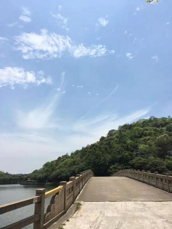 廣東順德十大景點旅遊之一