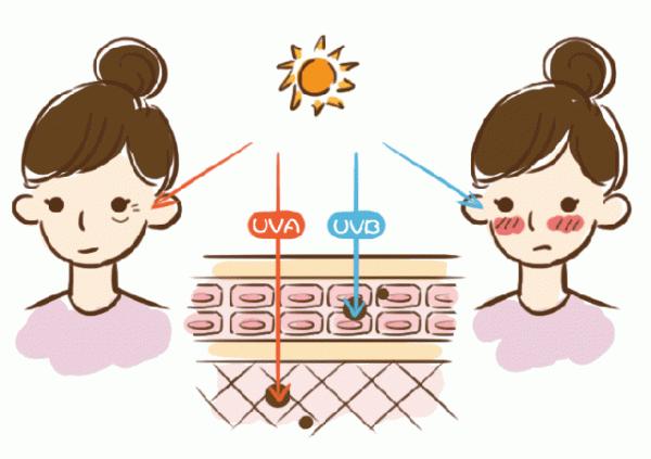 抗衰老應該吃什麼?塗什麼?做什麼?答案都在這了 抗衰老應該吃什麼?塗什麼?做什麼?答案都在這了