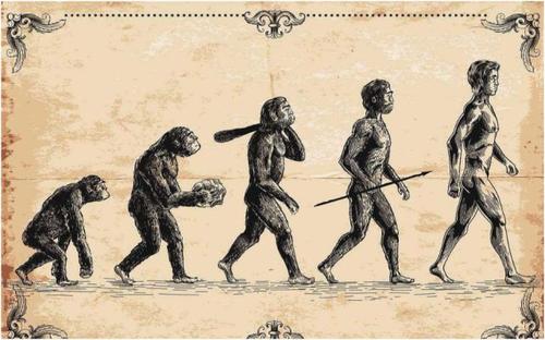 黑種人的基因與白種人、黃種人有何區別?基因相似度有多高? 黑種人的基因與白種人、黃種人有何區別?基因相似度有多高?