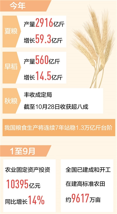 糧食生產將迎十八連豐 糧食生產將迎十八連豐