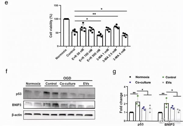 國自然硬核寶典│你所關心的國自然熱點研究思路一篇JEV幫你搞定