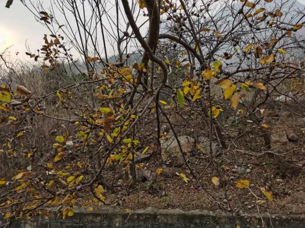 徒步白雲寺渡槽一一絕壁大梯一一上白雲一一白雲寺 徒步白雲寺渡槽一一絕壁大梯一一上白雲一一白雲寺