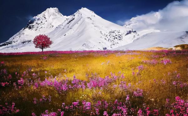 66張最美風景的圖片，每一張都很驚豔