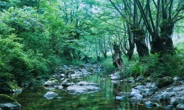 逃離城市！四川最美的10個神仙村落，第一個就心動了