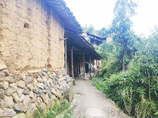 在深山的更深處，浙江農村都是別墅嗎？一一老婆的孃家