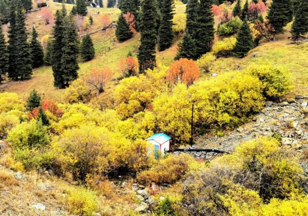 新疆之旅--9day 最美獨庫公路之精華段,那拉提--巴音布洛克草原 新疆之旅--9day 最美獨庫公路之精華段,那拉提--巴音布洛克草原