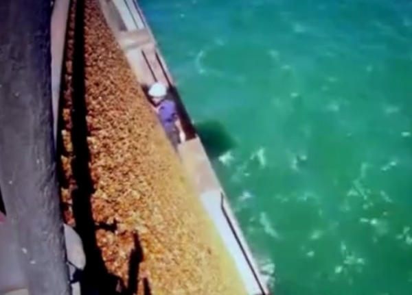 世界三大水電站，前兩個在中國，第二個投產後又是一座“印鈔機”