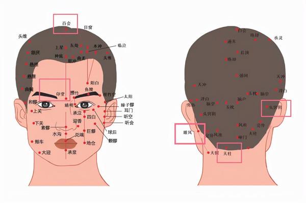 按摩五個穴位緩解血壓升高頭暈眼花