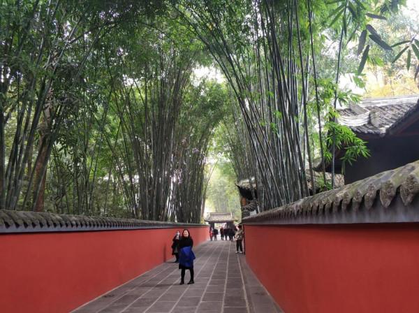 疫情困擾下，旅程依然勇毅前行——2021年個人自駕遊小結