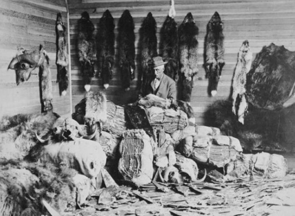 為什麼僅僅720萬美元，俄羅斯就把阿拉斯加賣給美國？與中國有關