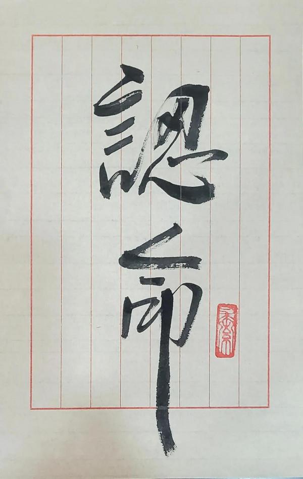 日拱一卒：認命