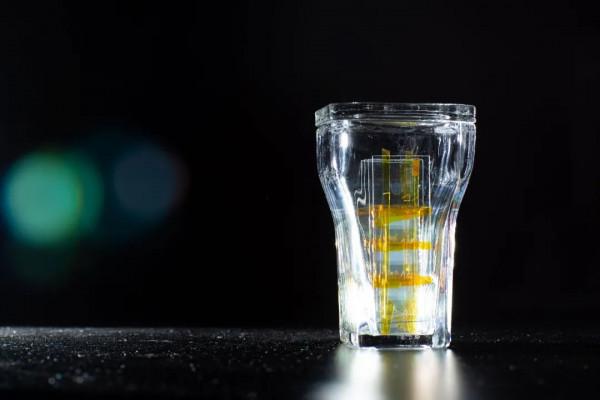 28歲！西湖大學最年輕博導來了