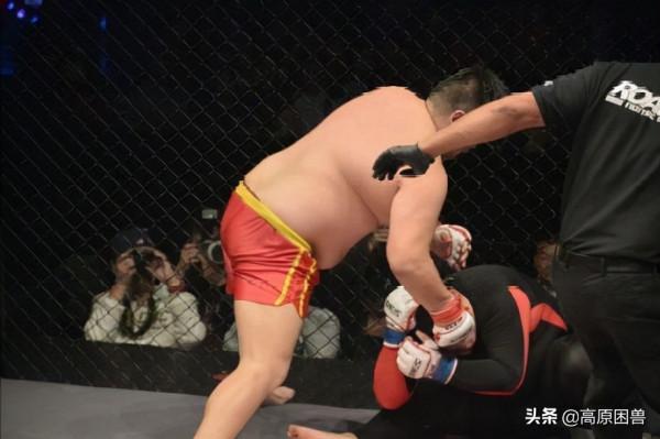 別小看胖子！功夫熊貓聽過沒？他血洗賽場，揚威海外