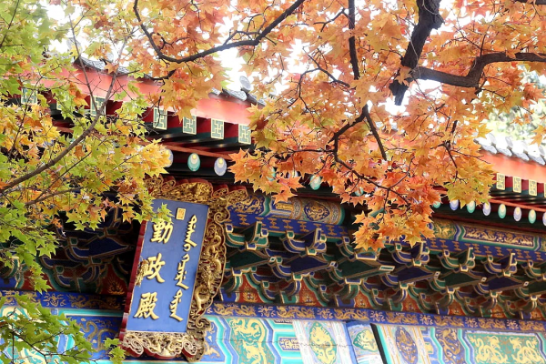 秋日漸紅,一眼就愛上的國內四大賞楓勝地 秋日漸紅,一眼就愛上的國內四大賞楓勝地