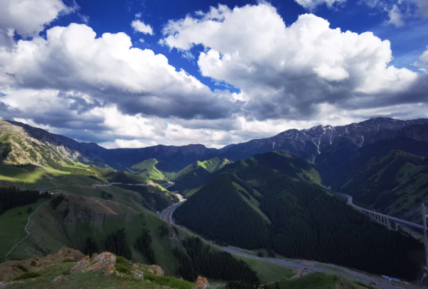 天山草原——伊犁河谷