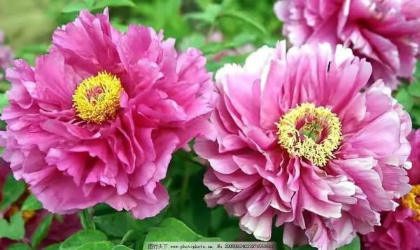 《千年歷史譜新篇》 《千年歷史譜新篇》