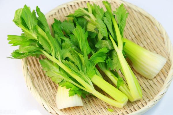 芹菜降血壓?芹菜含鈉多高血壓患者不能吃?芹菜的是非一次說清 芹菜降血壓?芹菜含鈉多高血壓患者不能吃?芹菜的是非一次說清