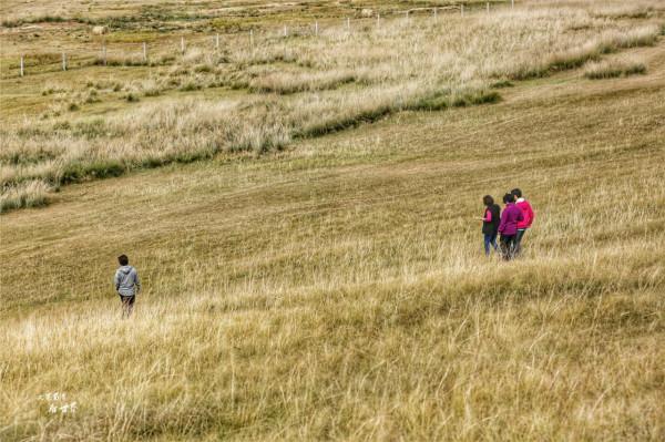我為何會建議在秋天去呼倫貝爾大草原看看？因為它會變成一幅油畫