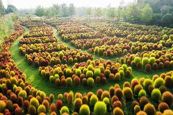 長三角這9條美麗鄉村休閒旅遊行（秋季）路線，你走過幾條？