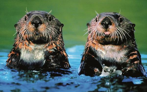 26張極致大片，尋找地球最美的角落