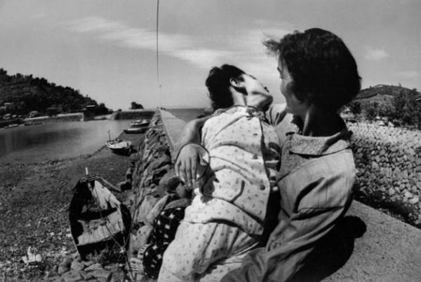 65年前日本隱瞞的罪惡，漁村怪病頻現，5萬隻貓跳海自盡