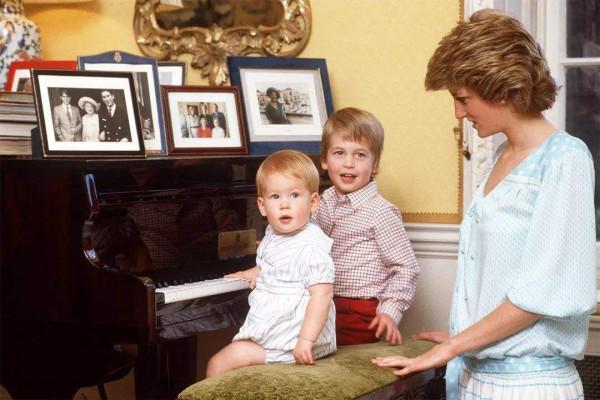 戴安娜下狠手：離婚掏空查爾斯家底，還用計謀讓卡米拉當不成王后