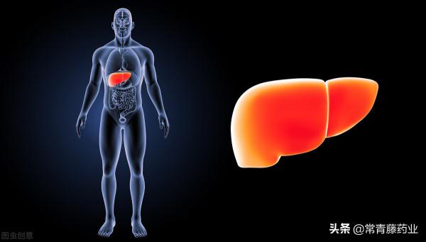 怕乙肝惡化成肝硬化，有必要長期吃恩替卡韋治療嗎？聽醫生說說