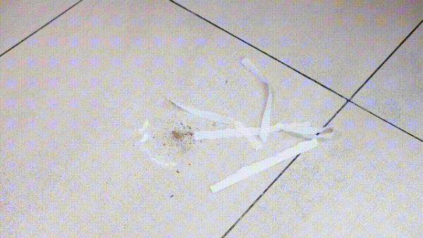 雙11寶藏新品家電大盤點，親測買了不後悔