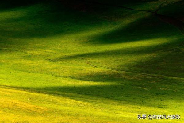 2017年5月26日 新疆喀拉峻大草原