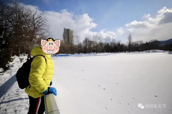 玩了一趟北海道，我家花了六位數