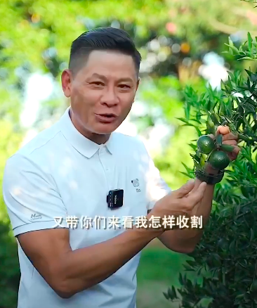 51歲港星定居內地開果園，佔地兩百畝產量超百萬斤，曾是金牌綠葉