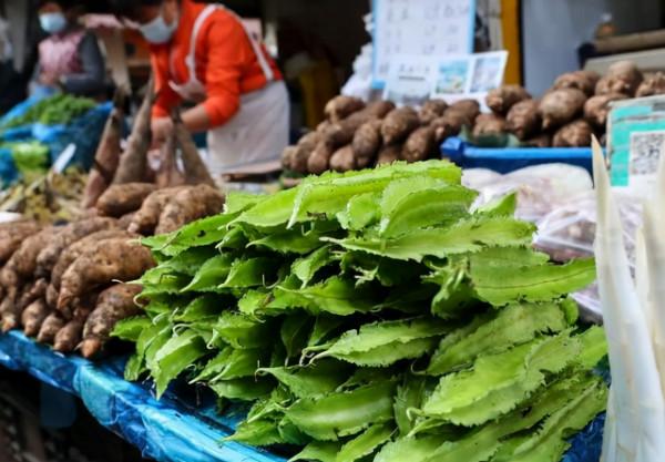 東北人逛雲南農村菜市場，一個菜都不認識，當地人：我們也認不全