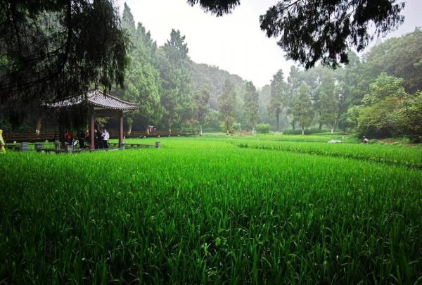遊覽千年前臥龍隱居之地 遊覽千年前臥龍隱居之地