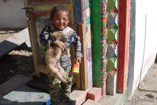 喝普洱茶得氟骨病？普洱茶氟超標？揭秘普洱茶氟含量真相