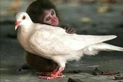 冬天雖冷,因為有你相擁而溫暖 冬天雖冷,因為有你相擁而溫暖