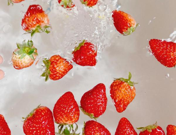 我不怪你春夏秋沒來，但冬至都到了你總該來啦 