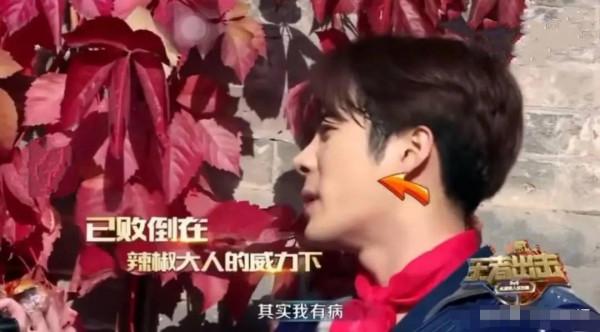 明星飲食癖好：肖戰不吃生蒜，宋茜拒絕香菜，易烊千璽不愛吃肥肉