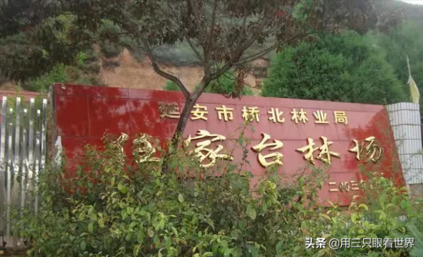 「知青往事」軍馬場懷舊 「知青往事」軍馬場懷舊