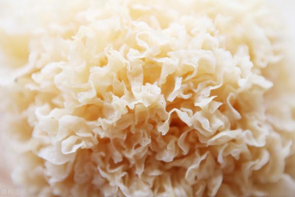 冬天進補之食補（六）